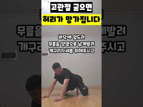 고관절 굳으면 허리가 망가집니다 ​#고관절스트레칭 #허리통증원인 #<strong>골반운동</strong> #허리디스크예방 #개구리자세 #고관절재활 #체형교정운동 #운동재활박사최영한
