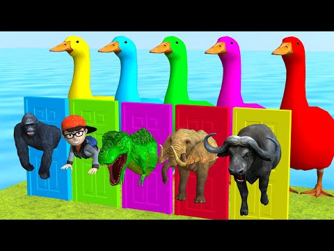 Choose the Right Door Duck Cartoon Dinosaur Buffalo Gorilla Elephant Scary Teacher 3D Funny Videos