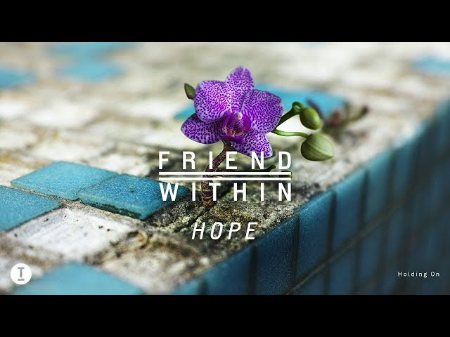 FRIEND WITHIN - Holding On