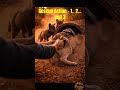 A Simple Act of Kindness Saved a Wild Family 🐾 #shorts #ytshorts