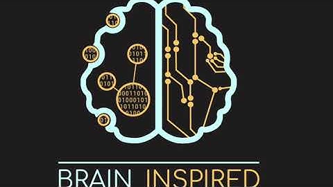 BI 012 Niko Kriegeskorte: Black Box, White Box