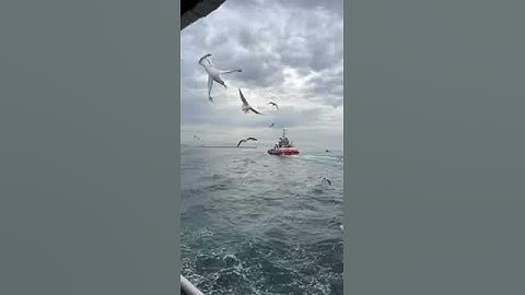 أرح سمعك 🥀القارئ: سعد الغامدي 🍃حالات واتس آب