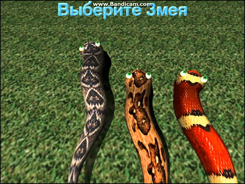 Игры больших змей. AXYSNAKE большой змей. Большой змей 2001. Большой змей игра алавар. Забавные змейки.