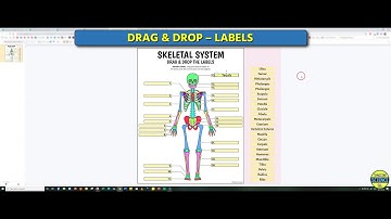 Skeletal System - Interactive Google Slides Activities (by Tangstar Science)