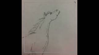 Kyle Bronsdon Wheres My Medal