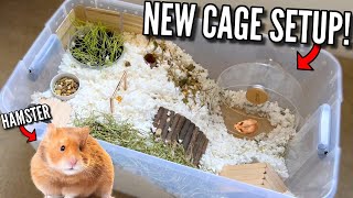 Setting Up A Naturalistic Hamster Cage Enclosure