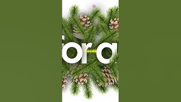 Master Time Management in 60 Seconds !