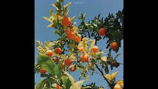 (FREE FOR PROFIT) lemon tree - ukulele powfu x rxseboy lofi type beat
(FREE FOR PROFIT) lemon tree - ukulele powfu x rxseboy lofi type beat
key: B major
bpm: 70
This beat is free for profit use on any platforms including all streaming services like spotify or apple music, but any use without a lease must give credit: song title (prod. jxsie beats)
✨ Email: josiebeats446@gmail.com
✨ Instagram: https://www.instagram.com/jxsiebeats/
✨ On our road to 50k :D https://www.youtube.com/channel/UCsiF...
FREE DOWNLOAD - https://bsta.rs/5d544f0dc
PURCHASE - If you want to be 100% sure that your song wont get taken down, or if your distributor requires a license for the beat, I suggest buying a lease: https://bsta.rs/5d544f0dc
If you post the beat using distrokid I would appreciate a percentage of profits with my email josiebeats446@gmail.com, 25% works for me :)
No samples used :)
Do not register your song with content ID unless you pay for full ownership under EXCLUSIVE rights.
Ignore tags:
instrumental, type beat, beats, type beats, instrumentals, rap type beat, type of beat, type beat 2020, type instrumental, rap instrumental, trap instrumental, rap instrumentals, trap instrumentals, rap beat, rap beats, rap trap beat, rap trap beats, trap rap beat, trap rap type beat, trap rap beats, trap rap instrumental, rap trap instrumental, free type beat, free beat, free instrumental, free type beats, free beats, free instrumentals, beat de trap, base de trap, beat type, type beat instrumental, trap type beat, hip hop type beat, hiphop type beat, hip-hop type beat, hip hop instrumental, hiphop instrumental, instru on this channel.
If you liked this beat then I have a plenty of guitar, guitar beats, guitar beat, guitar type beat, guitar type beats, piano beat, emo rap, emo type beat, emo beat, emo beats, sad type beat, sad trap type beat, sad beat, sad beats, sad instrumental, sad instrumentals, emo instrumental, emo instrumentals, sad type beat free, free sad type beat, sad type beat 2020, sad lofi type beat, lofi type beat, lofi type beat free, free lofi type beat, lofi type beat 2020, lofi beat, lofi beats, lofi instrumental, lofi type beats, chill type beat, chill type beat 2020, chill type beat free, free chill type beat, chill beat, chill beats, chill instrumental, chill type beats, ouse type beat, powfu type beat, sadboyprolific type beat, vaboh type beat, lund type beat, joji type beat, xxxtentacion type beat, kina beats, kina type beat, shiloh dynasty, shiloh type beat, shiloh dynasty type beat, the bootleg boy, sad chill, dreamwave, lofi hip hop, chillhop, chill out, chilled cow, chilledcow, isaiah rashad type beat, kendrick lamar type beat, lofi trap type beat, lofi trap beat, lofi trap type beats, lofi beats, trippie redd type beat, sadeyes type beat, juice wrld type beat, snow type beat, promoting sounds, ikigai, chill beats music, college music, low fi, lo-fi, low-fi, bedroom pop type beat on here, powfu type beat,sadeyes type beat,sadboyprolific type beat,powfu type beat 2020,powfu type beat lofi,powfu type beat free,free powfu type beat,sadeyes type beat free,free sadeyes type beat,sadboyprolific type beat free,free sadboyprolific type beat,lofi type beat free,powfu sadboyprolific type beat,powfu x sadboyprolific type beat,lofi type beat,powfu x sadeyes type beat,powfu x sad eyes type beat,powfu sad eyes type beat,powfu sadeyes type beat,lofi beats,powfu type beat,rxseboy type beat,sadboyprolific type beat,powfu type beat 2020,rxseboy type beat,powfu type beat 2020,powfu type beat lofi,powfu type beat free,free powfu type beat,rxseboy type beat free,free rxseboy type beat,powfu type beat,powfu type beat 2020,powfu type beat lofi,powfu type beat free,free powfu type beat,lofi type beat free,free lofi type beat,free lofi beats,lofi type beat,type beat lofi,free powfu beat,powfu beat,free lofi beat,lofi type beat powfu,free type beat lofi,powfu lofi type beat,lofi type beat sad,lofi type beat free,free lofi type beat,free lofi beats,lofi type beat,lofi,type beat,free type beat,lofi type beat 2020,free lofi beat,powfu lofi type beat,lofi type beat sad,powfu type beat sad,xxxtentacion type beat,xxxtentacion type beat free,free xxxtentacion type beat,xxxtentacion type beat sad,xxxtentacion type beat lofi,sad xxxtentacion type beat,chill type beat,chill type beat lofi,chill type beat free,free chill type beat,lofi type beat free,free lofi type beat,free lofi beats,lofi type beat,type beat,free type beat,free lofi beat,chill lofi type beat,lofi type beat chill,piano type beat,piano type beat free,free piano type beat,piano type beat chill,piano type beat lofi,chill piano type beat,lofi type beat piano,type beat chill,type beat lofi,beat chill,beat lofi,chill beat,lofi,chill (FREE FOR PROFIT) lemon tree - ukulele powfu x rxseboy lofi type beat