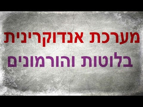 מערכת הורמונלית אנדוקרינית, בלוטות והורמונים, אנדוקרינולוגיה, מערכת אנדוקרינית, מערכת ההפרשה הפנימית