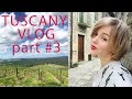 VLOG: ITALY, TUSCANY #3. Влог из Тосканы: город котов и вкуснейшие рестораны)