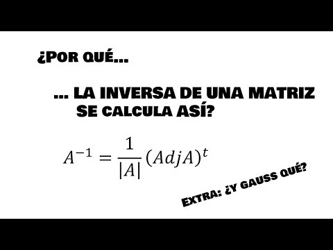 ¿Por qué... la
