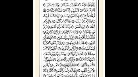 محمد البراك سورة المرسلات *77*