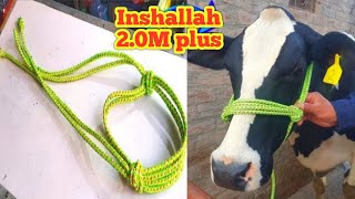 How to make rope halter for dairy cow | easy way to make rope halter | dairy and agri vlogs