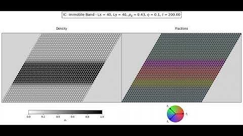 Immobile Band forms a Traffic Jam