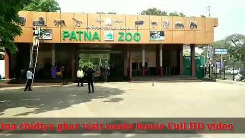 Patna zoo snake house full HD video