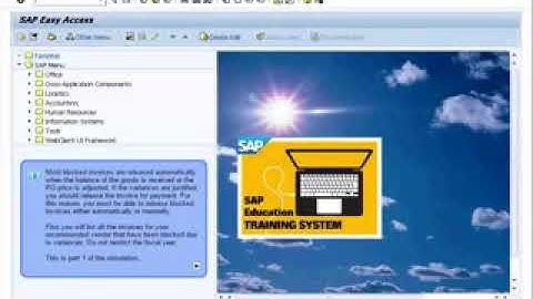 SAP MM Invoice Verification  Variances and Invoice Blocks part 2