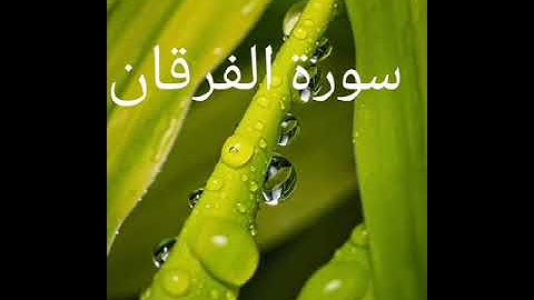 سورة الفرقان ألم تر إلى ربك كيف مد الظل.. القارئ سمير يحياوي