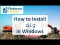How to Install dig in Windows 10
