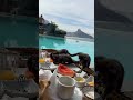 Marmosets—small monkeys—are eating watermelon on the table;come & take a look! #shortsfeed#marmosets