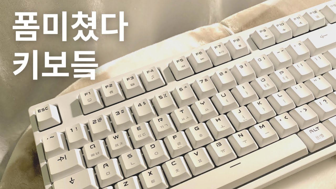 [ASMR] 폼미쳤다 키보드(한성 GK787S 저소음 적축 타건)
