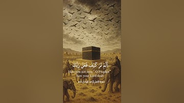 ألم تر كيف فعل ربك بأصحاب الفيل || سورة الفيل