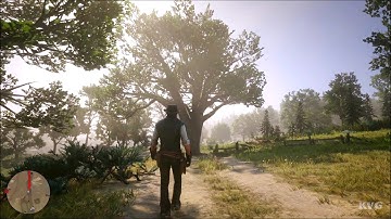 Red Dead Redemption 2 - Random Events (Abel