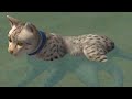 Симулятор КОТА и КОШКИ #8 Котенок купается. Новая порода Египетская Мау на пурумчата