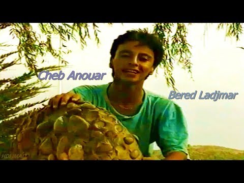 TÉLÉCHARGER ANOUAR CHOUFOU CHOUFOU MP3 GRATUIT CHOUFOU GRATUIT MP3 ANOUAR TÉLÉCHARGER CHOUFOU