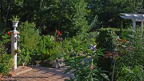 Suit Your Style for Texas Tough Gardens