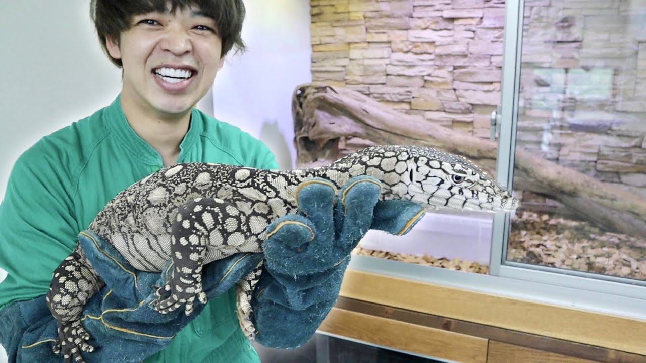 We visited the home of the owner of the world's most expensive