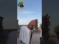 Memoon Badshah Islamabad #zuljanahvideos