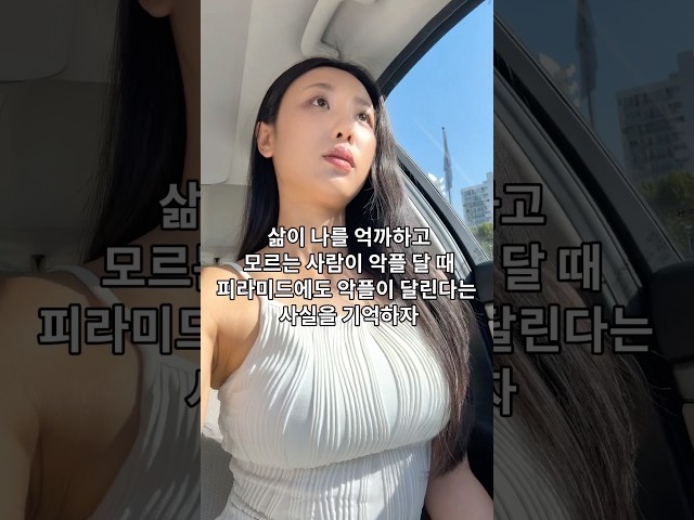 pov:삶이 나를 억까할 때 피라미드에도 악플이 달린다는 사실을 기억하자
