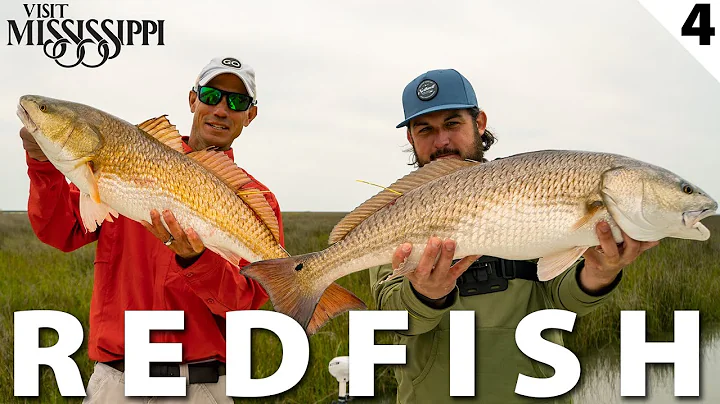 Tagging BIG Redfish in Remote Backcountry Marshes ...