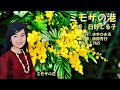 ミモザの港 日野てる子