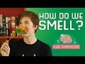 How Do We Smell?