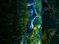 The Way of Water