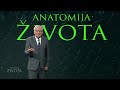 Dijabetes melitus i prehrana - emeritus Midhat Jašić | Anatomija života | Hayat TV