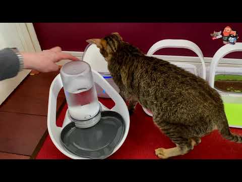 New Sure Petcare Felaqua Connect drinking monitoring system for cats