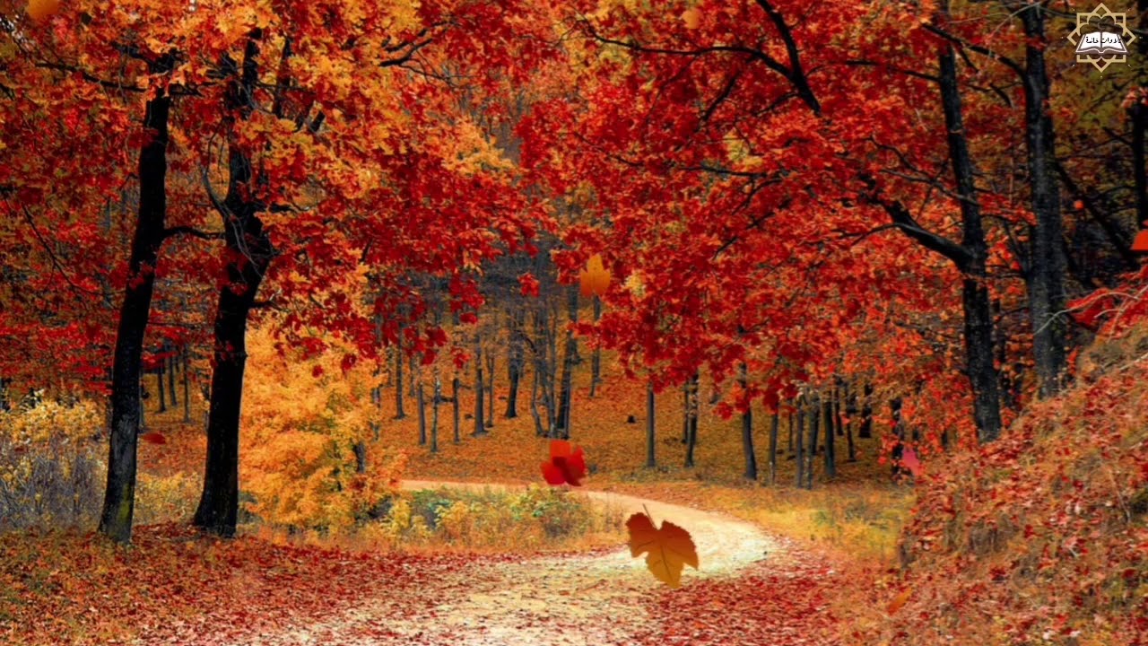 القرآن الكريم💜[بالصيغة المغربية الأندلسية]🖤ارح سمعك 🎧