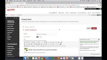 PebblePad: Adding a Mashup link in Learning@Griffith