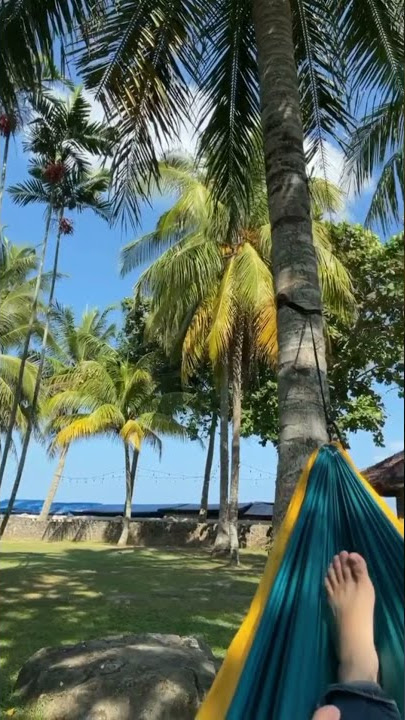 story wa dipinggir pantai santai rebahan di bawah pohon kelapa