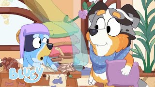 Les meilleurs moments de Calypso ! ✏️ 📚 | Bluey Français Chaîne Officielle