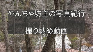 ２０２２年　撮り納め・振り返り　ありがとうございました