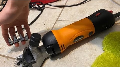 Honest Review BEETRO 500W Electric Professional Sheep Shears
