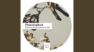 Entoprocta (Original Mix)