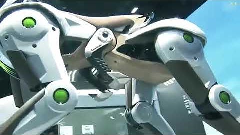 New Kawasaki Corleo Horse-Type MotorcycleNew Corleo Motorcycle