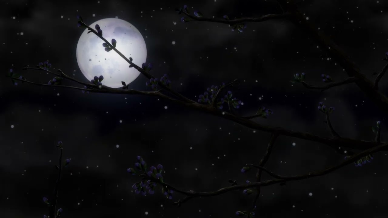 saysbri x lloyd.wth - whatchu bout (slowed + reverb)