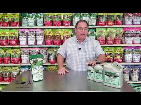 Blog Callaway S Yard Garden Ridgeland Gluckstadt Ms