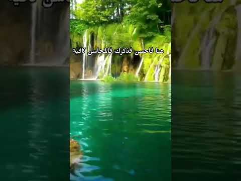 عاشر بمعروف فأنك راحل واترك قلوب الناس حولك صافية واذكر من الاحسان كل صغيرة