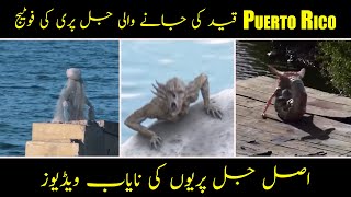 Real Mermaid Caught On Camera In Hindi Urdu - Jal Pari ki Video -  Khauf Ki Dunya